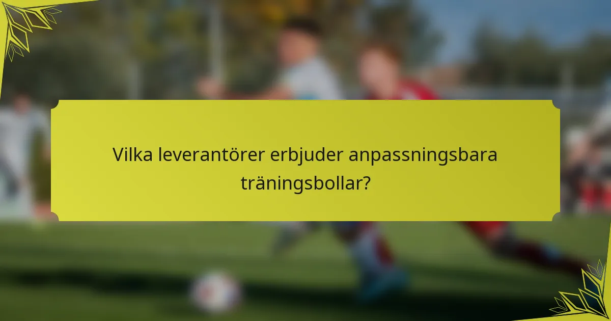 Vilka leverantörer erbjuder anpassningsbara träningsbollar?