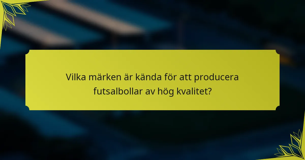 Vilka märken är kända för att producera futsalbollar av hög kvalitet?