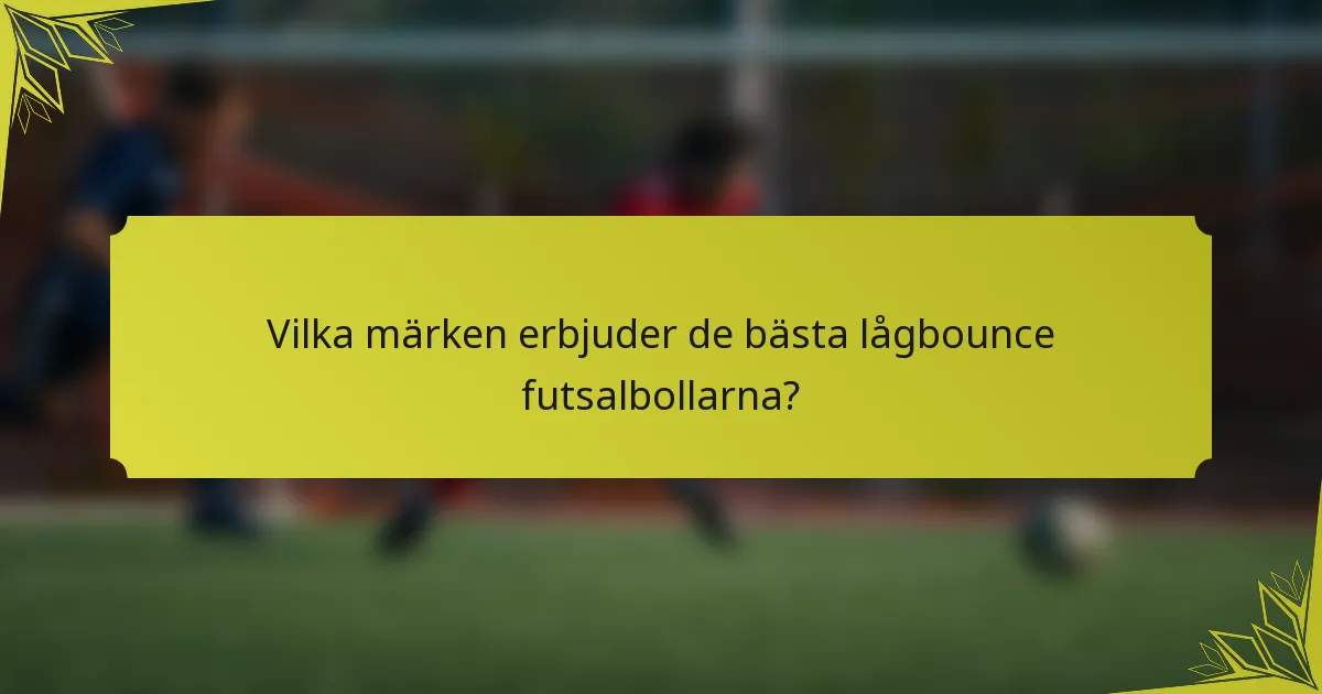 Vilka märken erbjuder de bästa lågbounce futsalbollarna?