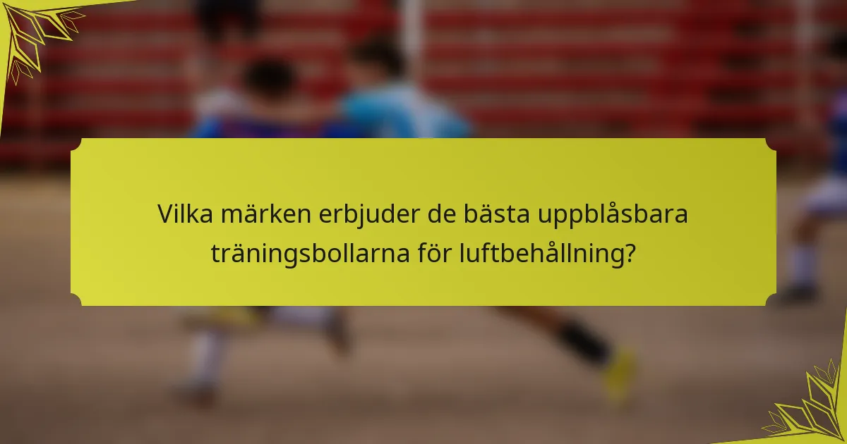 Vilka märken erbjuder de bästa uppblåsbara träningsbollarna för luftbehållning?