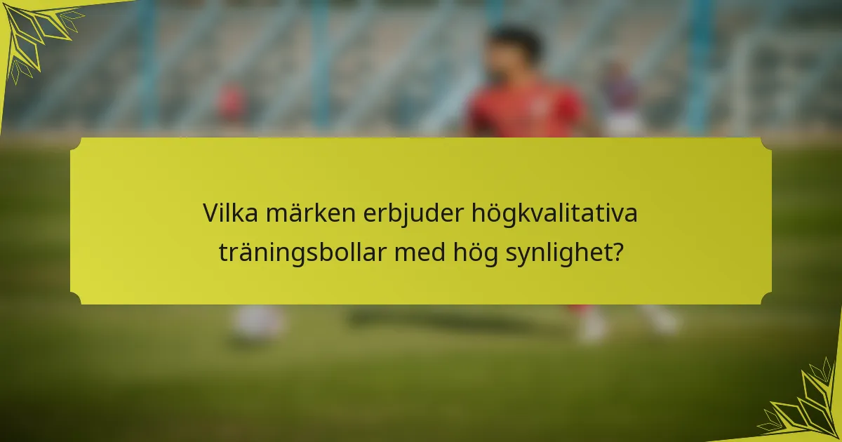 Vilka märken erbjuder högkvalitativa träningsbollar med hög synlighet?