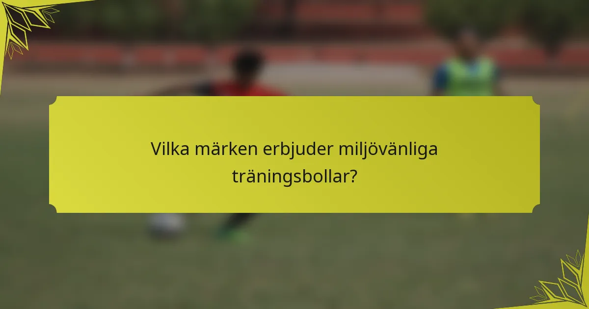 Vilka märken erbjuder miljövänliga träningsbollar?