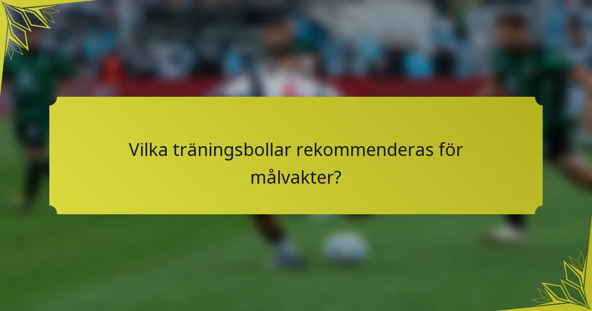 Vilka träningsbollar rekommenderas för målvakter?