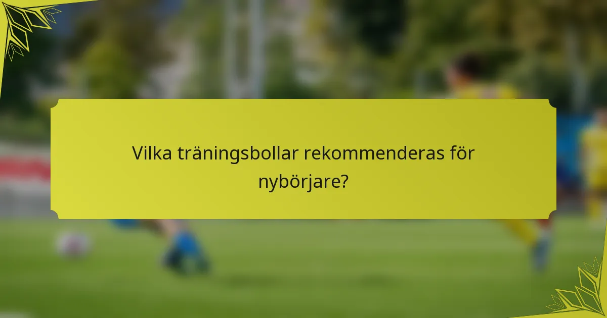 Vilka träningsbollar rekommenderas för nybörjare?