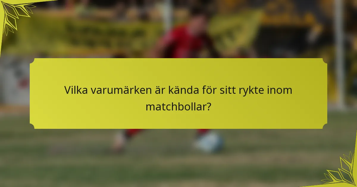 Vilka varumärken är kända för sitt rykte inom matchbollar?